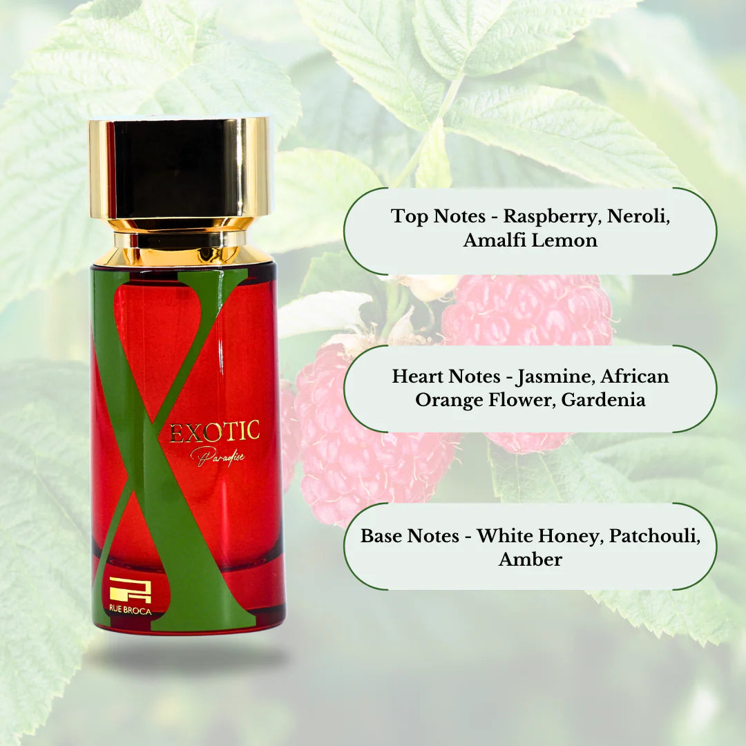 Exotic Paradise For Women by Rue Broca 3.4oz