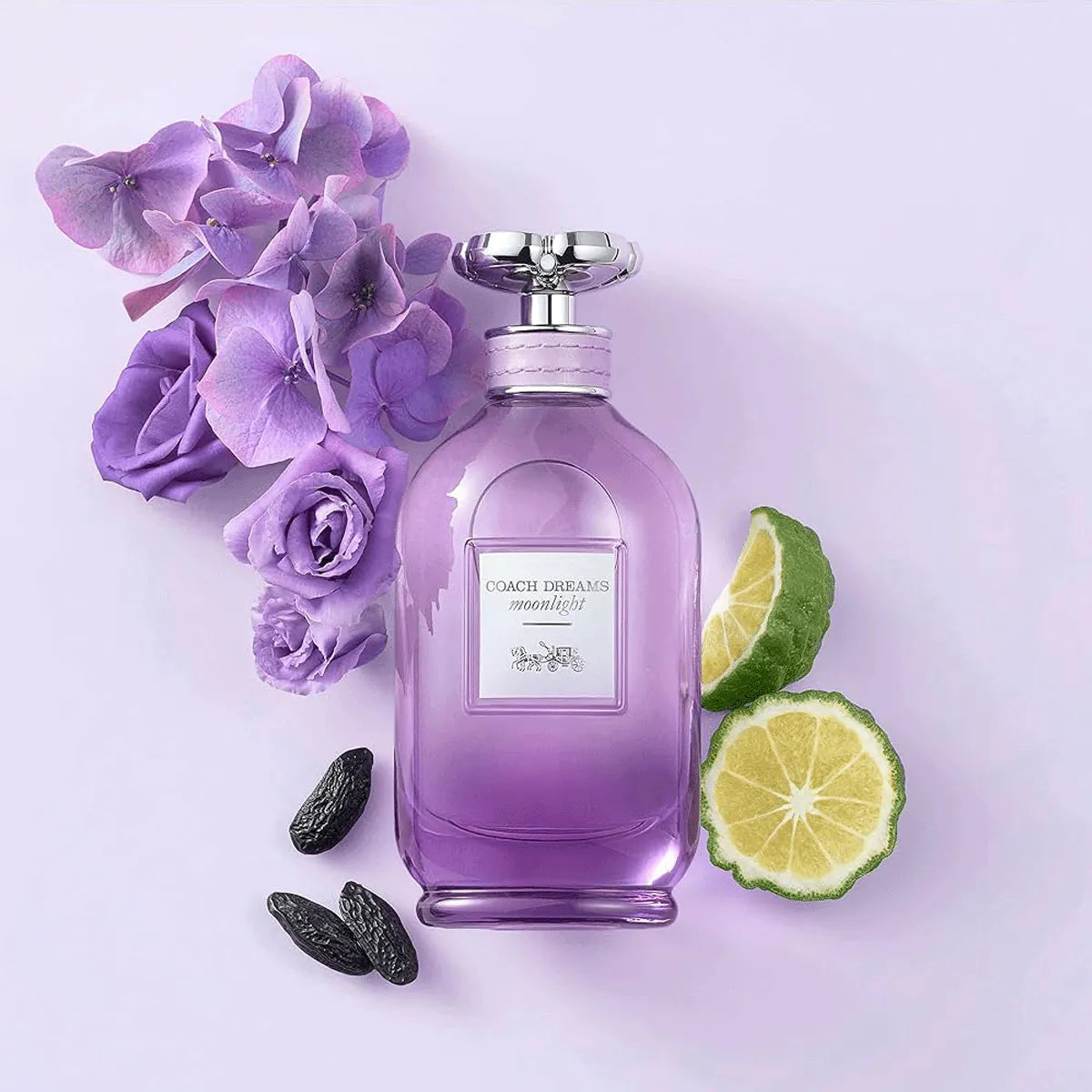 Coach Dreams Moonlight 3.0oz