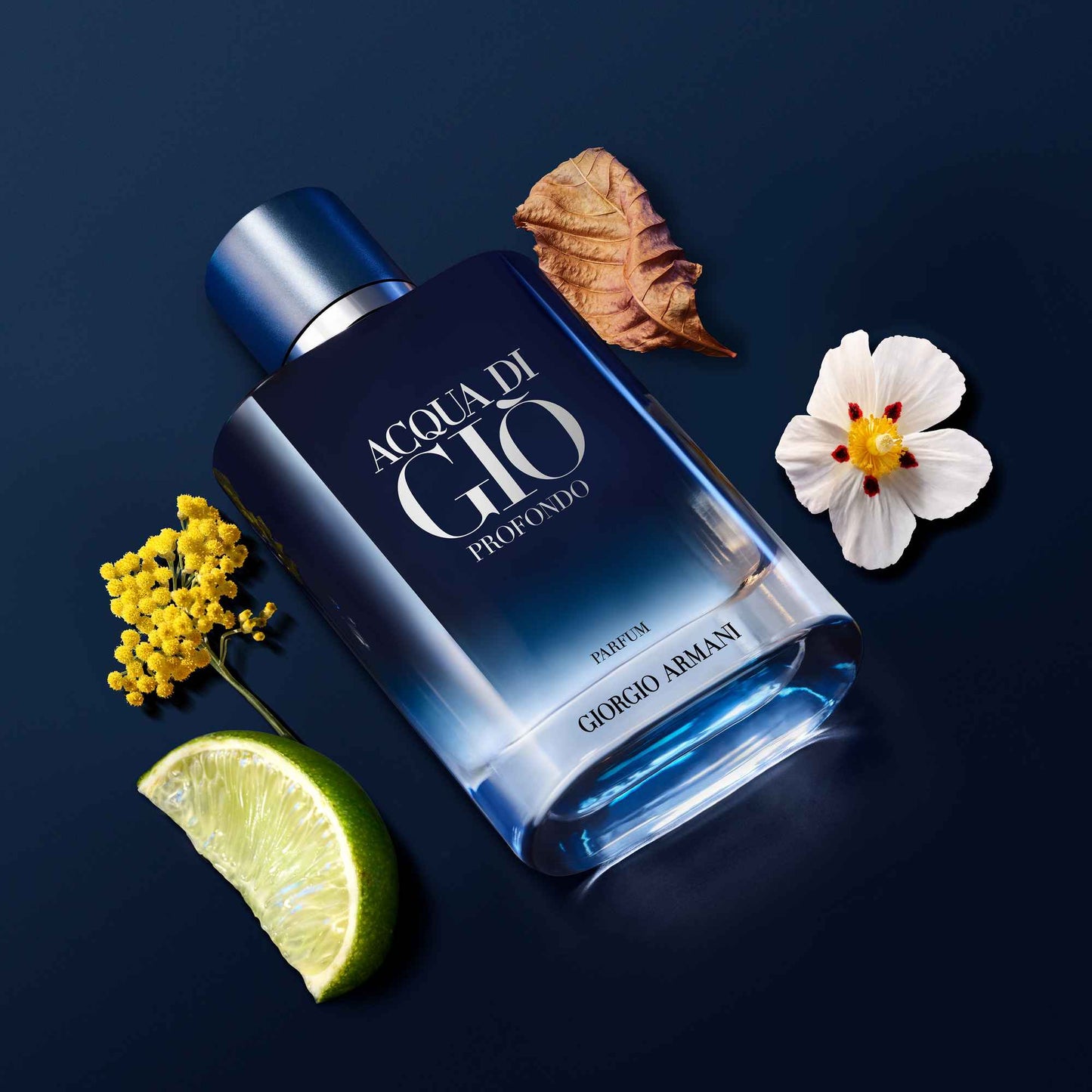 Acqua di Giò Profondo Giorgio Armani for men